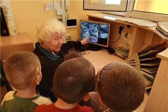 Всероссийский урок безопасности в ДОУ: учимся быть внимательными и осторожными!