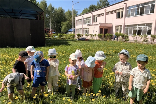 Осторожно, пчёлы! Правила безопасности летом