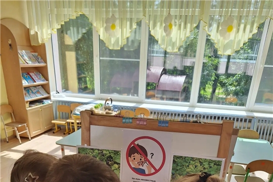 «ОПАСНЫЕ ЯГОДКИ»: ПОЗНАВАТЕЛЬНОЕ ЗАНЯТИЕ В ГРУППЕ «ЗДОРОВЕЙКА»