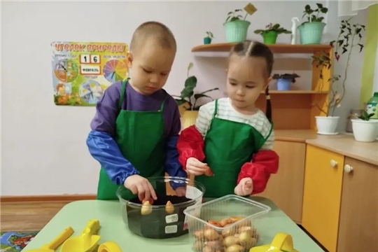 В группе "Звездочки" ребята вырастили сочный и очень витаминный зеленый лук.