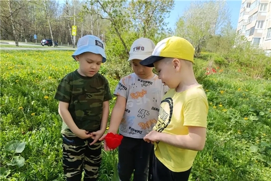 Проект "ТУРИСТиКО": изучаем мир природы вместе! 