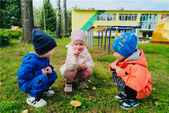 Незнакомый гриб — берегись! Важный разговор с малышами