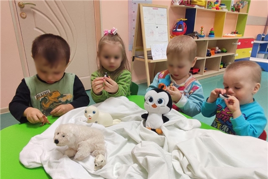 Знакомимся с обитателями полюсов