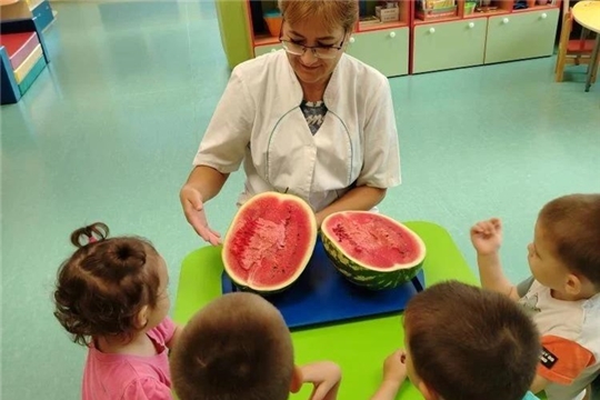 Знакомимся с арбузом
