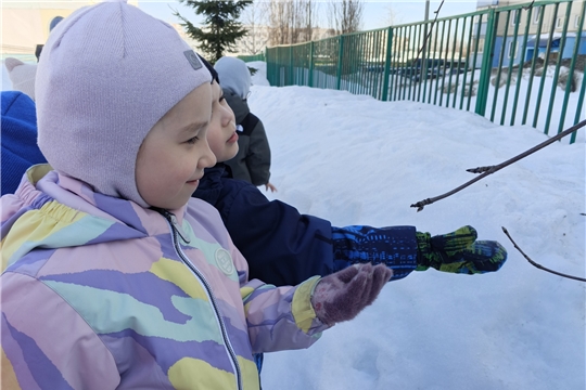 Наблюдаем за пробуждением природы 