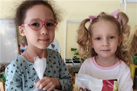 Акция по сбору корма для бездомных животных 