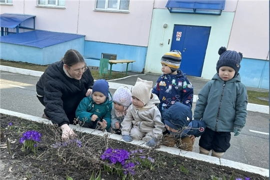 Наблюдение за первоцветами