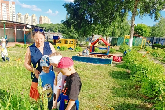 Безопасные растения 