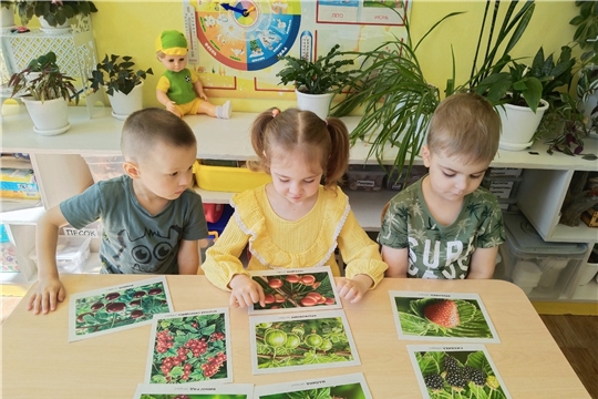 Польза ягод