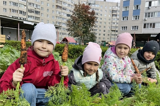 Осеннее меню в детском саду: витамины на тарелке
