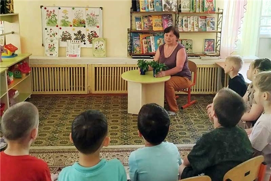 Знакомство дошкольников с лекарственными травами нашего края
