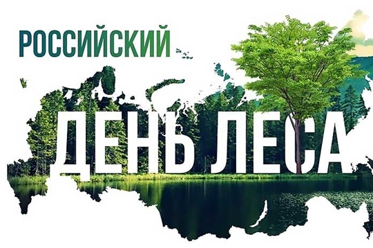 День леса в детском саду: знакомим детей с природой