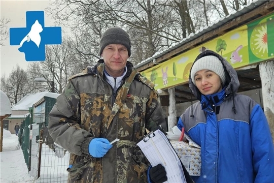 Сделали прививки животным!