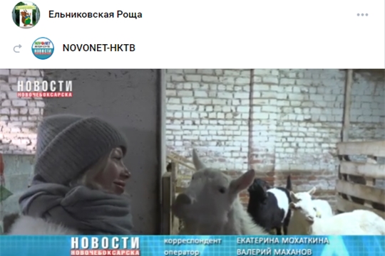Как зимуют жители зоопарка? Репортаж НКТВ