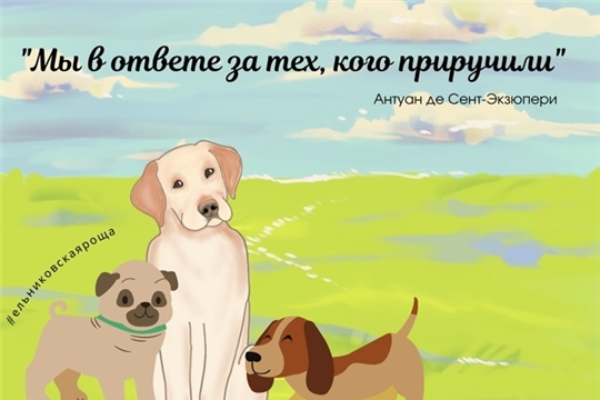 Правила выгула собак