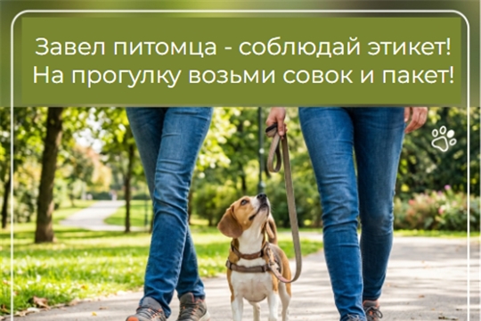 Обращение от коллектива Ельниковской рощи: хозяева животных обязаны убирать за своими питомцами!