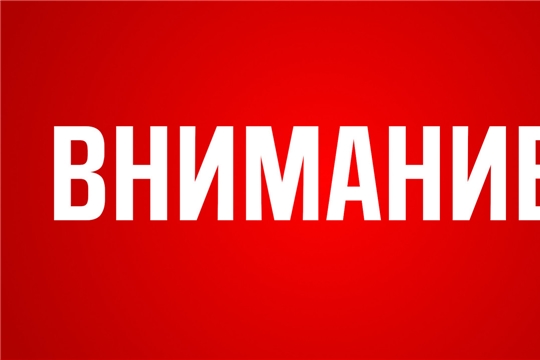 Внимание: риск падения деревьев