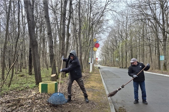 Ельниковская роща: продолжаются экологические субботники!