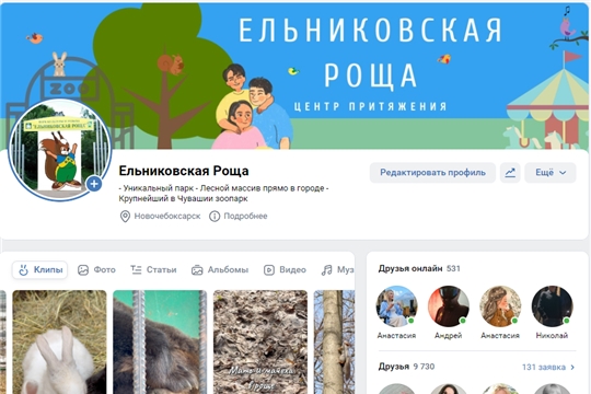В соцсетях Ельниковской рощи — новые видео!