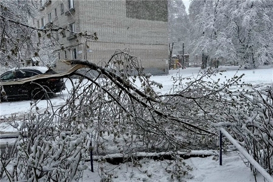Ликвидация поваленных деревьев, повреждённых линий электроосвещения, обрывов проводов: актуальная сводка