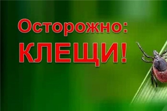 Правила защиты от клещей