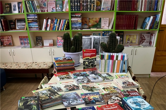 Фонд Новомуратской сельской библиотеки пополнился новыми книгами