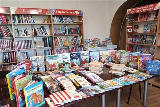Новые книги в Чурачикской сельской библиотеке