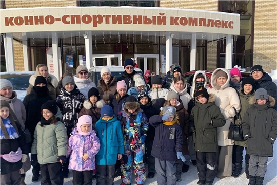 Гармония общения с лошадью: мастер-класс в спортивной школе по конному спорту