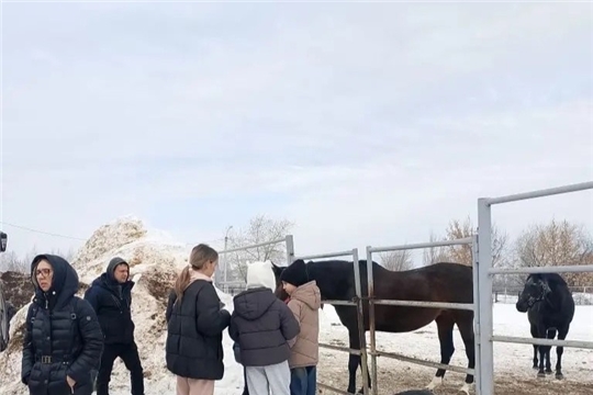 Ученики 4Е класса СОШ № 55 побывали на экскурсии в спортивной школе по конному спорту!