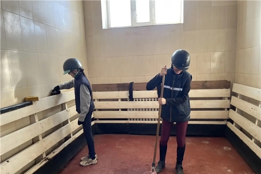 В спортивной школе по конному спорту забота о лошадях — общее дело.