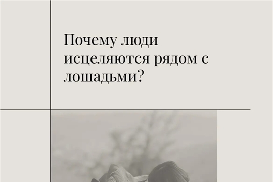 Почему люди исцеляются рядом с лошадью? 