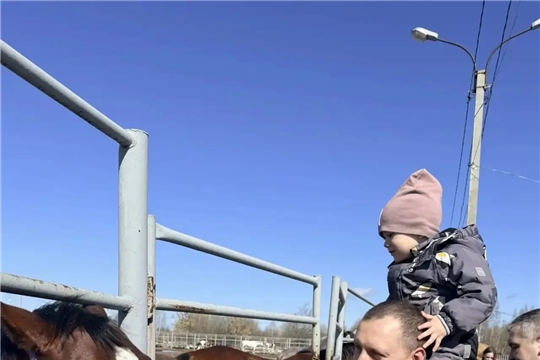 Адаптивный мастер-класс по уходу за лошадьми для людей с интеллектуальными нарушениями.