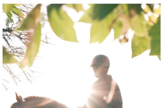ФОТОСЕССИЯ НА ЛОШАДИ