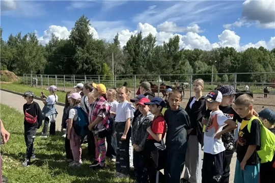 Сегодня в спортивной школе по конному спорту прошла увлекательная экскурсия для школьного лагеря 