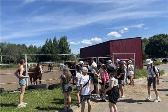 День, наполненный лошадьми: экскурсия, мастер‑класс и первые шаги в седле!