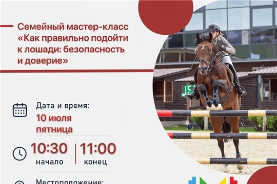 Как подружиться с лошадью: семейный мастер-класс в Новочебоксарске