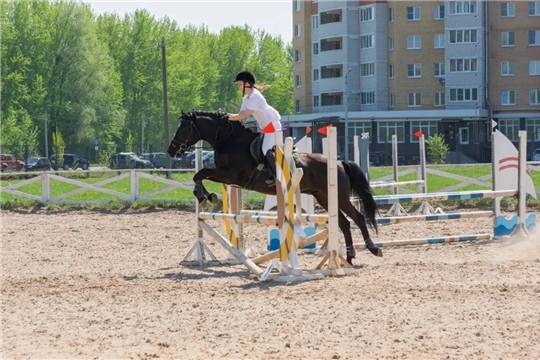 Приглашаем на Кубок Чувашкой республики по конному спорту