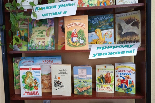 Литературный час «Писатели о природе» в Малокамаевской сельской библиотеке