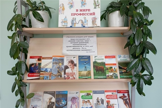 Книжная выставка-совет «В мире профессий» (Сеспельская сб)