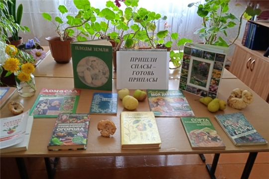 Круглый стол «3 Спаса в августе» (Новоачакасинская сб)