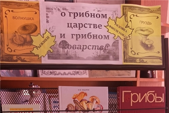 Книжная выставка « О грибном царстве и грибном коварстве» (Новоурюмовская сб)