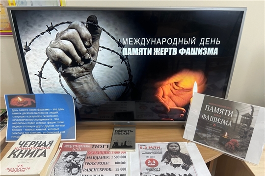 В Атнашевской сельской библиотеке прошёл час истории «Печаль, одетая в гранит»
