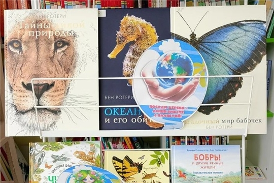 Книжная выставка «Берегите Землю! Берегите!» приглашает полюбоваться природой России