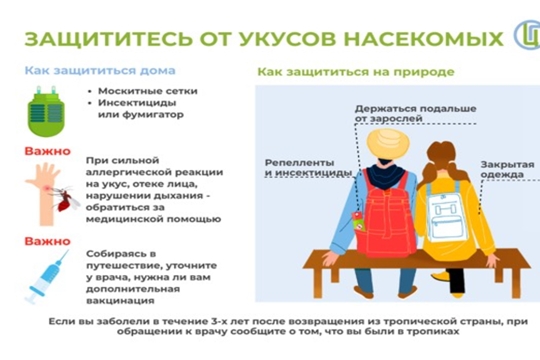 Насекомые как переносчики инфекционных заболеваний: профилактика и меры борьбы