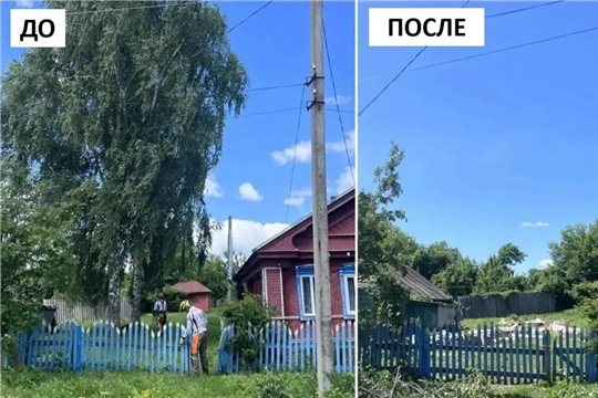 Вырубка аварийных и сухостойных деревьев