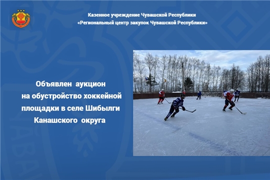 Олег Николаев: «Программа «Ниме – Народный бюджет» помогает воплощать полезные идеи»