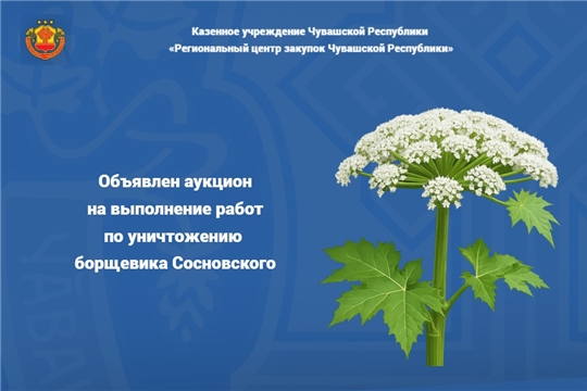 Объявлен аукцион на выполнение работ по уничтожению борщевика Сосновского