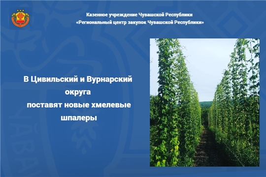В Цивильский и Вурнарский округа поставят новые хмелевые шпалеры
