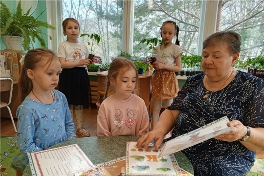 Витамины на подоконнике