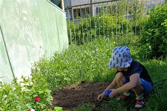 Огород на участке детского сада